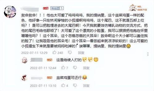原神最新爆料榜在哪里看,揭秘最新爆料榜揭晓地点
