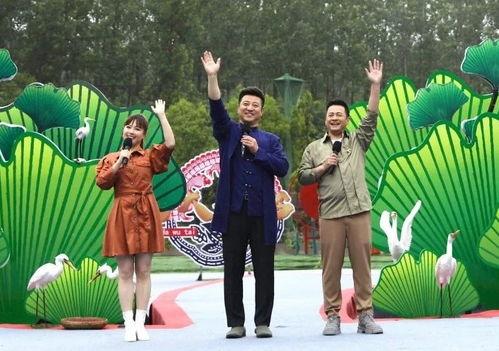 桑植新闻爆料最新视频播放,精彩瞬间回顾