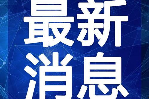 德清都市爆料新闻视频最新,都市新闻视频揭示惊人真相！
