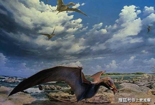 风神翼龙最新爆料视频,揭秘神秘生物的进化之谜