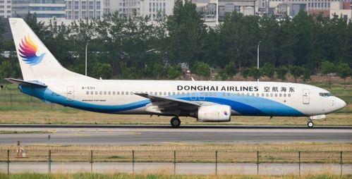 东海航空最新爆料,揭秘神秘航线背后的故事